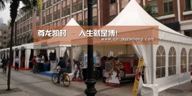 案例标题九